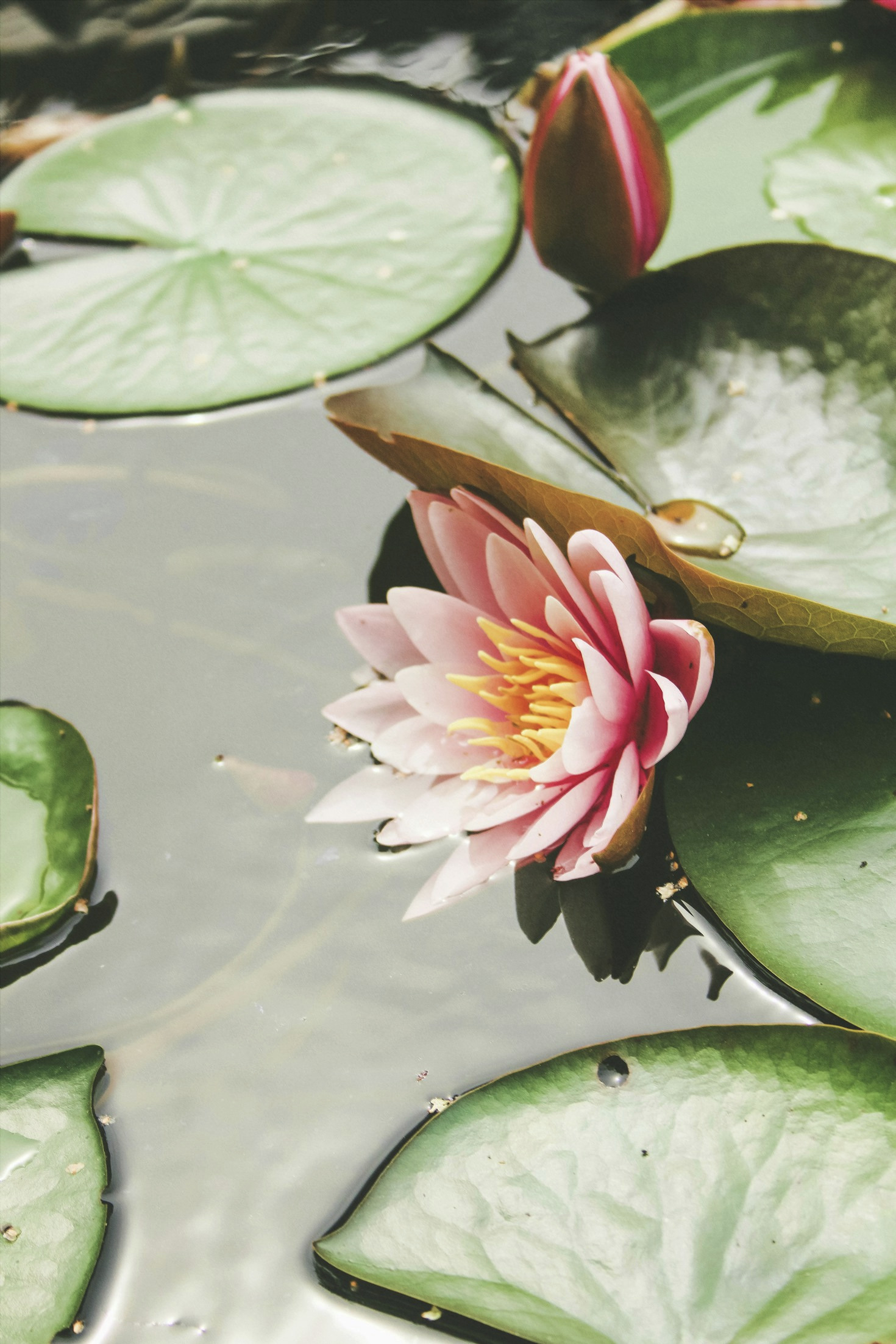 Finding Balance: The Harmony Between Body and Spirit